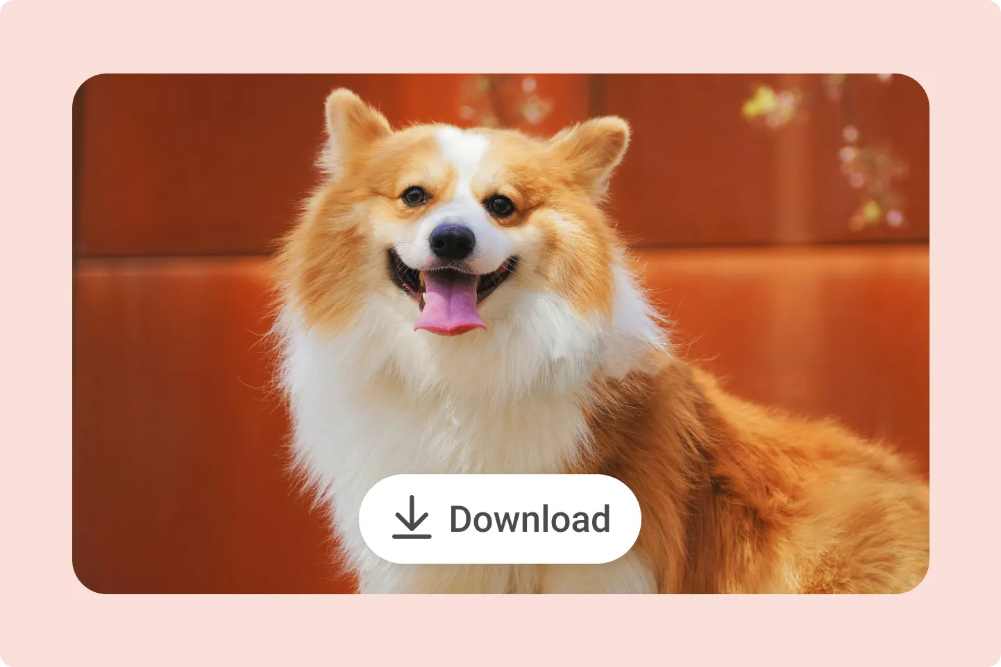 Step3: Final HD photo of a dog after deleting any watermark, ready to download